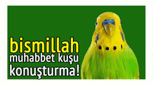 Bismillah Muhabbet Kusu Konusturma Kaydi Youtube