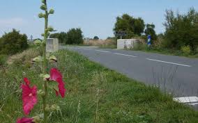 Epingle Sur Ile De Re