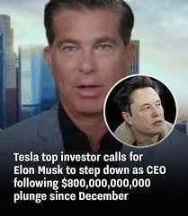 Tesla's Crisis and the Electric Car Market