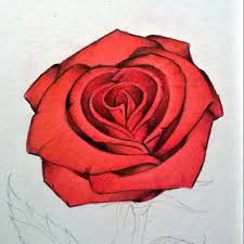 How To Draw A Red Rose With Colored Pencils Colored Pencils Drawings Rose Art