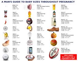 A Mans Guide To Baby Growth During Pregnancy No Fruit Or