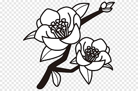Le japon regorge de belles fleurs. Dessin Noir Et Blanc Camelia Japonais Peinture Monochrome Ohana Blanc Feuille Png Pngegg