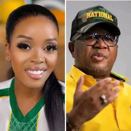 March and March leader Jacinta Ngobese-Zuma has accused ANC secretary-general Fikile Mbalula of attempting to discredit the movement by linking it to the MK Party, saying the criticism was driven by "the