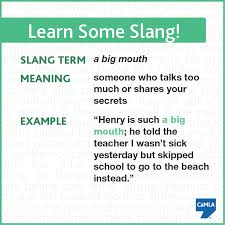 Slang If Someone Uses This Slang Term To Refer To You It S Not A Compliment Slang Words Learn English English Idioms