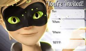 Miraculous Cat Noir Party Invitations Miraculous Ladybug Party Ladybug Party Miraculous