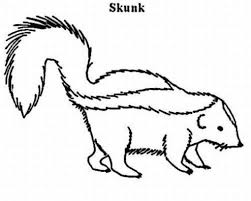 Skunk Coloring Free Animal Coloring Pages Sheets Skunk Animal Coloring Pages Super Coloring Pages Coloring Pages