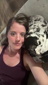 Great Dane Dressed As Cow