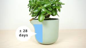 We did not find results for: Self Watering Pot Studio Lorier The Natural Balance