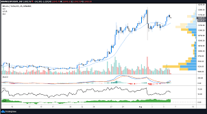 Para el 31 de diciembre de 2020, llegamos a un precio diferente con cada método, 14,500 dólares y 8,400 dólares respectivamente. El Precio De Bitcoin Apunta A Un Nuevo Record En El 2020 Una Vez Que Los Alcistas Rompan La Resistencia De Los Usd 11 800