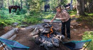 Call us for a free inspection today. Top 5 Best Bug Out Locations In The Us Survivopedia