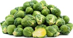 Image result for Roman Green 1929 Nash