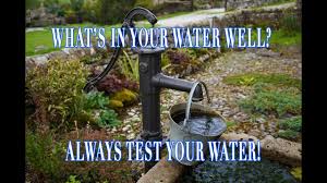 what is in your well water bacteria test kit review and diy test instructions