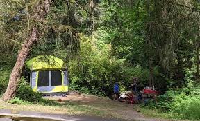 If you are thinking about camping in the woods and want to know the. The Original E Zup Blog The Original E Z Up Blog Create A Better Family Camping Trip Tips Accessories