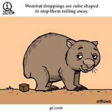For more educative, interesting and informative. 17 Best Weird And Fun Animal Facts For Kids Ideas Animal Facts For Kids Animal Facts Facts For Kids