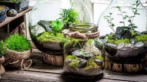 How to build a terrarium. How To Build A Terrarium Even Serial Plant Killers Can T Mess Up