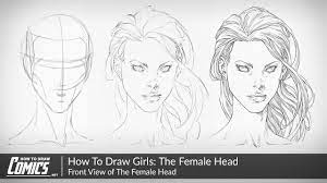 It's position should be roughly half of the circle's diameter vertically. How To Draw Girls The Female Face Front View Of The Female Head Youtube