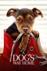 Transylvania by trilulilu men rio rio dublat 73. A Dog S Way Home 2019 Dublat In RomanÄ Desene Animate Dublate Si Subtitrate In Romana 2020 2021