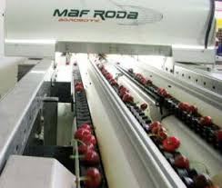 Preturi pentru linii de procesare legume si fructe sau alte detalii sunt acum la un click distanta prin formularul de contact. Linii Sortare Ambalare Legume Fructe U E Sc Agreen Srl