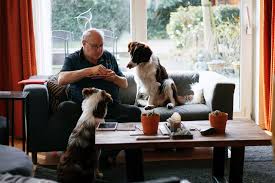 Créée le 3 avril 2017, notre société est une entreprise familiale née d'une passion pour les animaux. Le Marche Des Aliments Pour Animaux De Compagnie Espagne Businesscoot