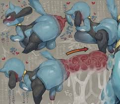 What generation is riolu
