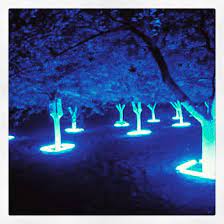 31 Likes 1 Comments Rick Gradone Bustedhair On Instagram Exquisite Piece By Heathercarson Light Art Light Art Installation Light Sculpture Light Art