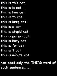 Pin On Paorebelde Funny Phone Wallpaper Phone Humor Funny Quotes