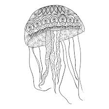 We did not find results for: Handgezeichnete Quallen Mit Zentangle Doodle Muster Malvorlage Zen Kunst Design Fur Spirituelle Entspannung Fur Erwachsene Vektor Illustration Auf Einem Weissen Hintergrund Isoliert Lizenzfrei Nutzbare Vektorgrafiken Clip Arts Illustrationen