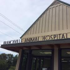 Get reviews and contact details for each business including videos, opening hours and more. Animal Hospital Of Walker County Llc Home Facebook