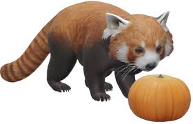 Google 3d Animals Ar Objects Full List Gallery Android Central