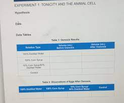 Basic cellular components of plant cells and animal cells, especially the plasma membrane. 1 Simplify The Following Completely Write Each Chegg Com