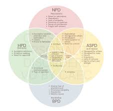 Image result for Cluster B Personality Disorder