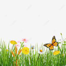 Yuk ini dia animasi kupu kupu bergerak lucu terbang cantik gif nya. Gambar Rumput Musim Semi Dengan Latar Belakang Kupu Kupu Yang Indah Kupu Kupu Hijau Musim Semi Png Transparan Clipart Dan File Psd Untuk Unduh Gratis In 2021 Flower Background Wallpaper Beautiful