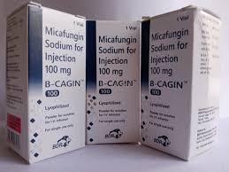 Image result for Micafungin