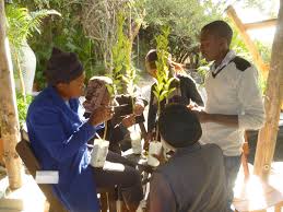 Image result for Physostigma mesoponticum