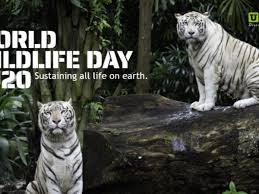 54,551 likes · 51 talking about this. 8 Tips To Prepare Your School For World Wildlife Day Univariety