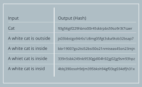 Each bitcoin transaction has the same exit for change, allowing you to start the cpfp mechanism. How Does Blockchain Work Everything There Is To Know