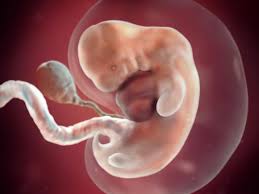 Pin On Photos For Pregnancy Journal