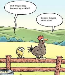 Quotes About Pet Chickens 28 Quotes 17 best images about good morning chickens on pinterest. quotes about pet chickens 28 quotes
