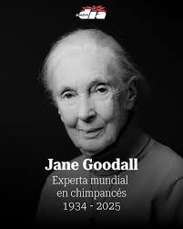 Imperio 821- BSA Venturing