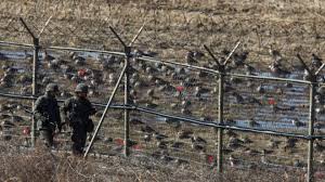 Image result for dmz korea