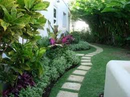 Thinking What To Do Down That Narrow Area That Is The Side Of Your House Here Are 23 Lands Tropical Backyard Landscaping Tropical Landscaping Landscape Design