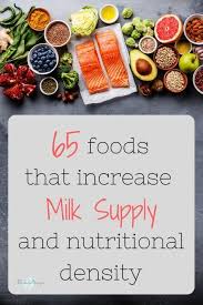 65 Top Lactogenic Foods To Increase Milk Supply Fast Breastfeeding Foods Increase Milk Supply Fast Increase Milk Supply