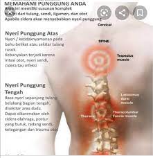 Rasa nyeri pada tulang belakang bawah sering dikaitkan dengan nyeri punggung bawah ( low back pain ). Urutan Luarbiasa Cepat Rawatan Urutan Guass Facebook