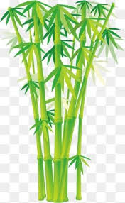 Cartoon Bamboo Vector Bamboo Clipart Bamboo Bamboo Leaves Png And Vector With Transparent Background For Free Download Bamboo Art Bamboo Leaves Tape Wall Art
