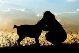Booking gentle at home euthanasia. Pet Euthanasia At Home Gopet Services Compassion Understood