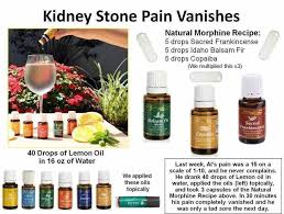 Pin On Essential Oils