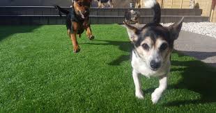 32mm Artificial Grass