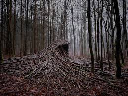 Maybe you would like to learn more about one of these? Nine Massive Waves Of Deadwood Surge Across A Forest Floor Near Hamburg Colossal