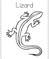 A bearded dragon is not a dragon with a beard. Reptile Coloring Book Chameleons Child Drawing Png Clipart Animal Art Artwork Bearded Dragons Black Free Png
