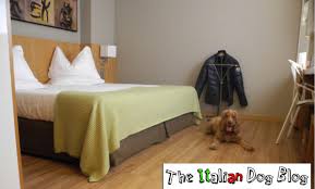 Hotel in centro a pordenone con anima green e piani a tema dedicati alla cultura. Best Western Park Hotel Pordenone